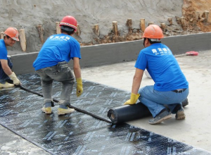 Bituminous Waterproofing Membrane